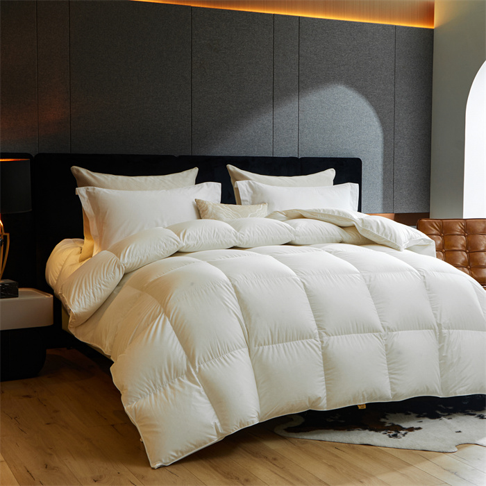 แกนผ้าห่ม 